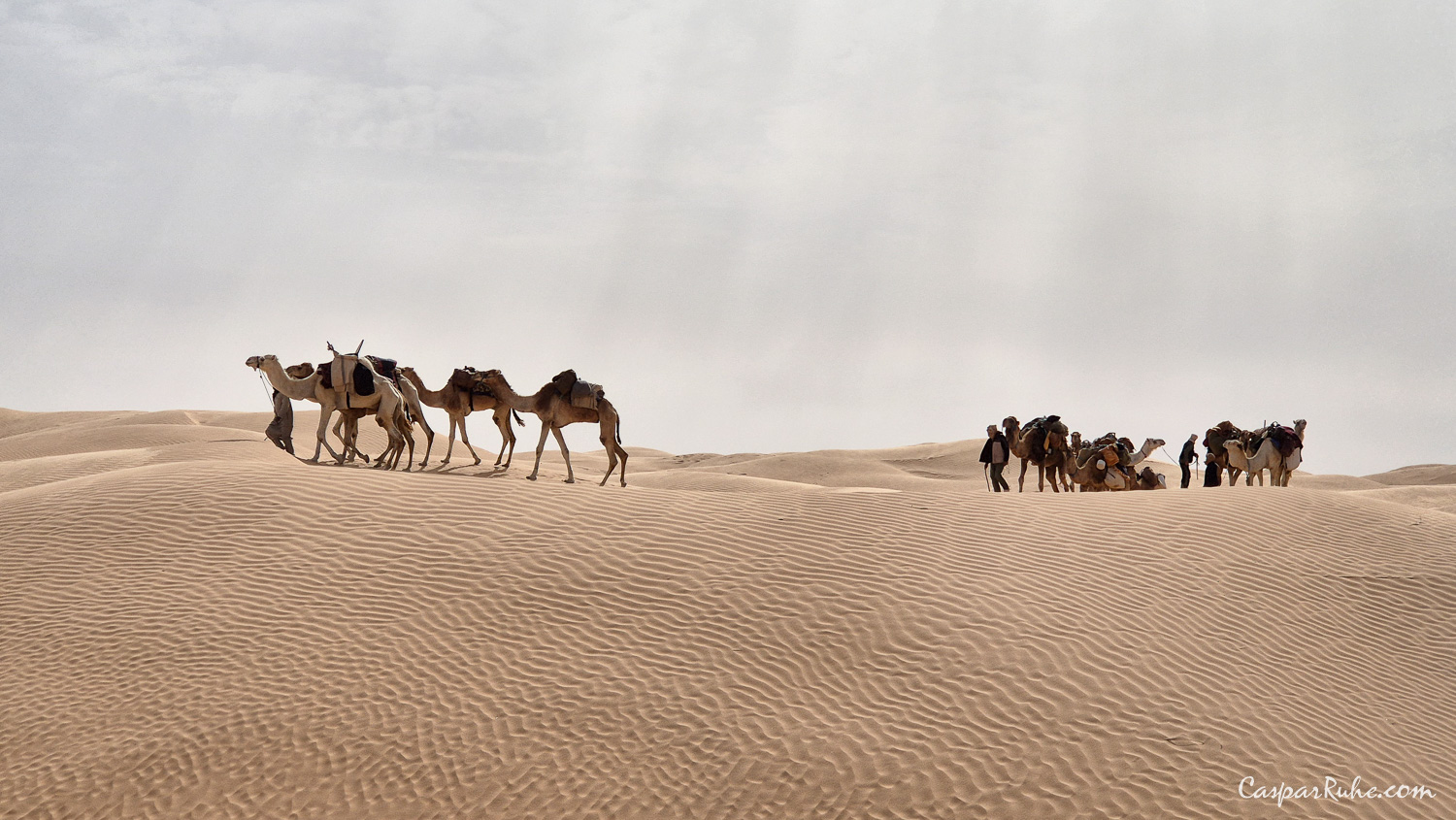 Jebil National Park